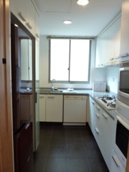 Amaryllis Ville (D11), Condominium #160678502